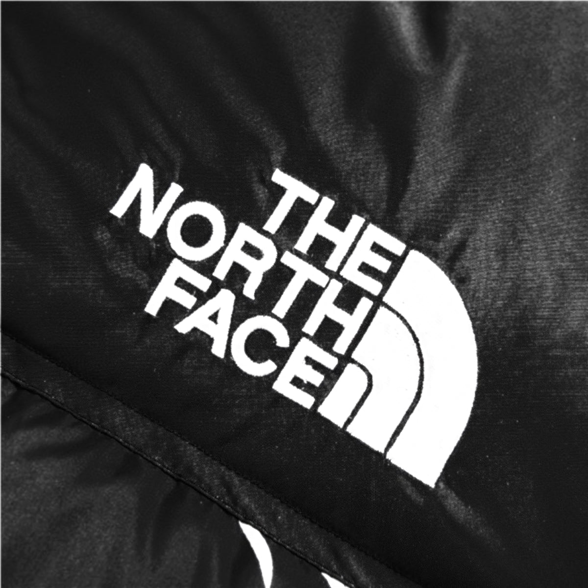 The North Face Puffer Jacket in Black